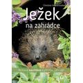 Ježek na zahrádce - Pichlavá návštěva v přírodní zahradě