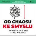 Od chaosu ke smyslu
