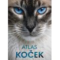 Atlas koček