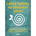 Léčivé bylinky na obnovení zdraví