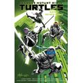 Teenage Mutant Ninja Turtles 1 - Návrat do New Yorku