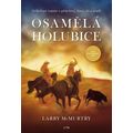 Osamělá holubice