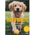 Rok štěněte - Jak se ze štěňat stávají psi