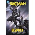 Batman 7 - Slepota