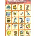 Vyjmenovaná slova - PSVZ