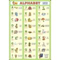 Alphabet - anglická abeceda