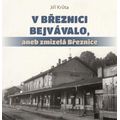 V Březnici bejvávalo, aneb zmizelá Březnice