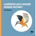 Lednáček jsou modré mokré holínky