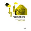 Perníková chaloupka aneb Jak jsem vařil pervitin