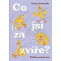 Co jsi za zvíře?