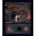C. G. Jung - Život v knihách - galerie #4