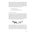 Pečujte o svůj vztah - galerie #4