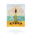 Kniha obrazů - galerie #15