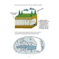 Jak se vyznat v klimatu - galerie #6