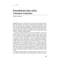 Dítě traumatizované v blízkých vztazích - galerie #5