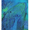 Modrá příšera - galerie #5
