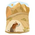 V zoo mě to stále baví - galerie #5