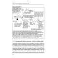 Úvod do transgenerační psychologie rodiny - galerie #5