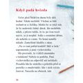 Vánoční hvězda a splněná přání - galerie #4