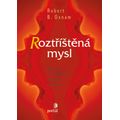 Roztříštěná mysl