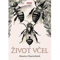 Život včel