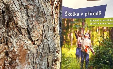 Školka v přírodě