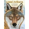 Lesní zvířata: V životní velikosti