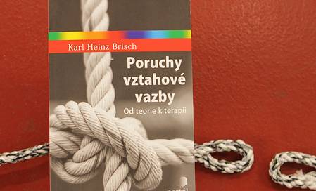 Poruchy vztahové vazby