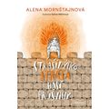 Strašidýlko Stráša hasí průšvihy