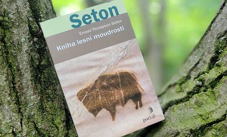 Kniha lesní moudrosti