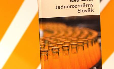Jednorozměrný člověk