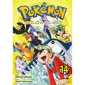 Pokémon 14 - Gold a Silver