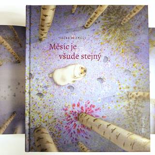 Měsíc je všude stejný