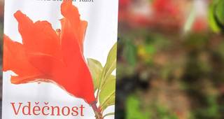 Vděčnost – duchovní umění vidět krásu v obyčejném