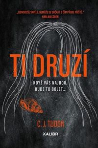 Ti druzí