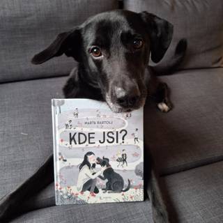 Laskavost jako řetězová reakce: Proč si nenechat ujít „tichou knihu“ Kde jsi?