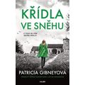Křídla ve sněhu
