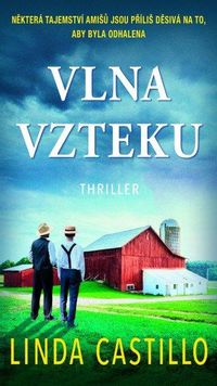 Vlna vzteku