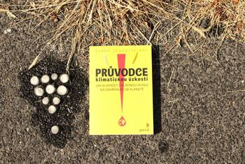 Průvodce klimatickou úzkostí: jak si zachovat chladnou hlavu na zahřívající se planetě