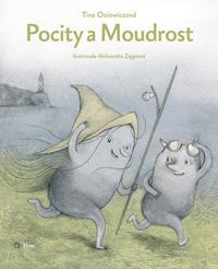 Pocity a moudrost
