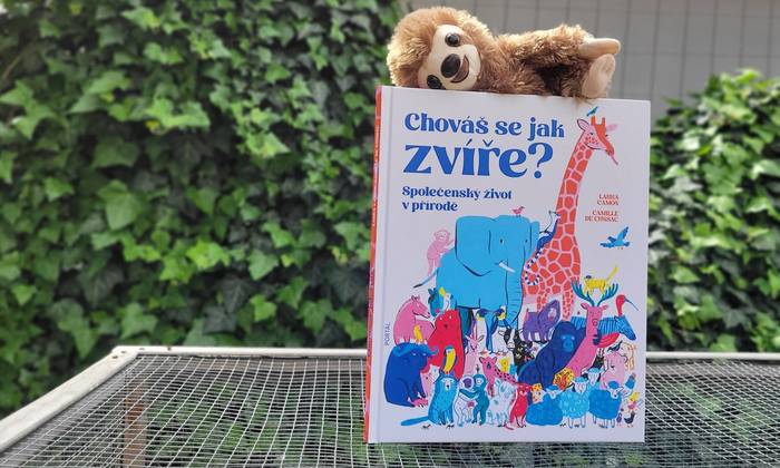 Láska, smutek i celoživotní pouta: Poznejte společenský život zvířat.