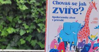 Láska, smutek i celoživotní pouta: Poznejte společenský život zvířat.