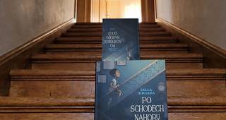 Po schodech nahoru dolů: Dva chlapci, dva světy a jedna zeď mezi nimi