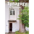 Synagogy v Čechách