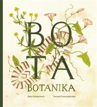 Bota botanika