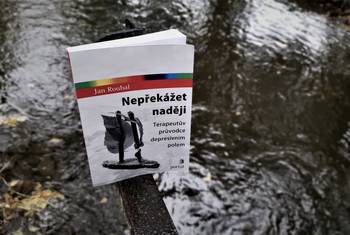 Nepřekážet naději – průvodce depresivním polem pro psychoterapeuty
