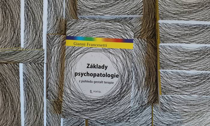 Průvodce, který přepisuje tradiční diagnostiku 