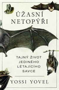 Úžasní netopýři