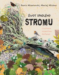 Život spadlého stromu