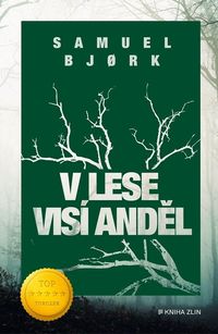 V lese visí anděl